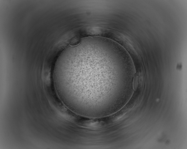 X0000101440267200807141314