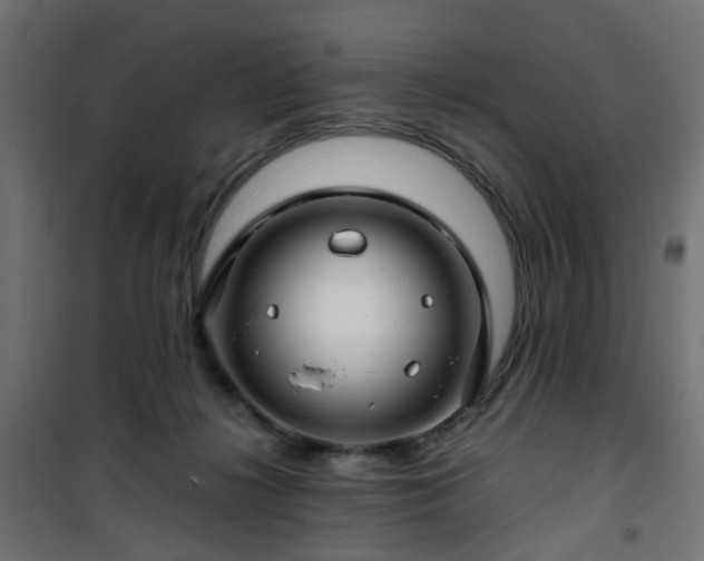 X0000101440268200807141314