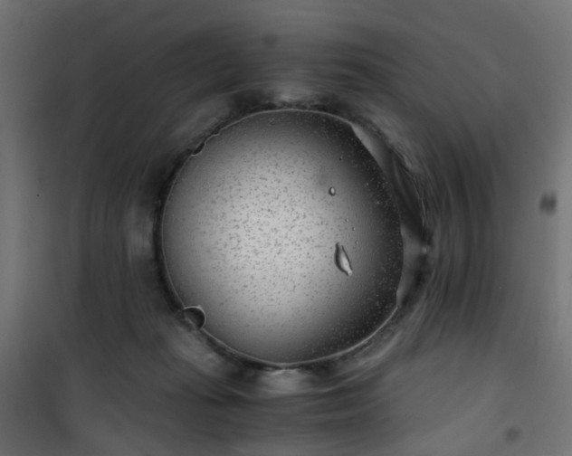 X0000101440269200807141314