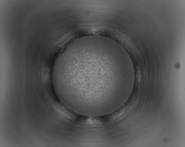 X0000101440270200807141314