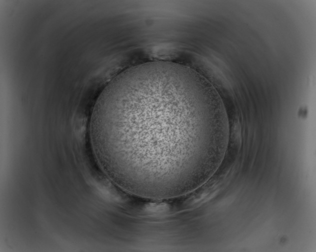 X0000101440271200807141314