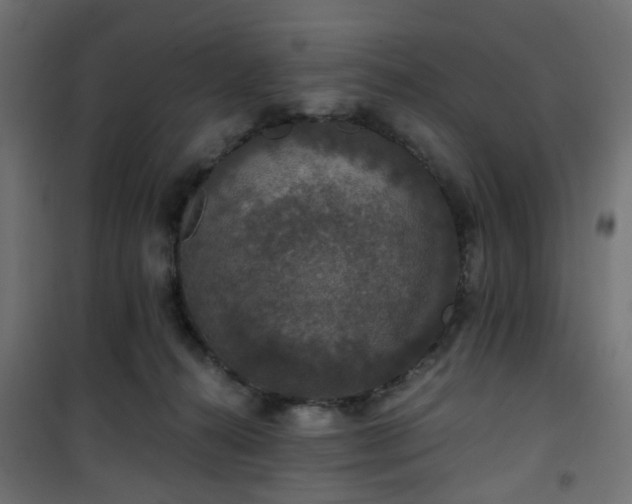 X0000101440272200807141314