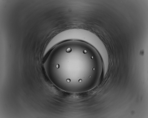 X0000101440276200807141314