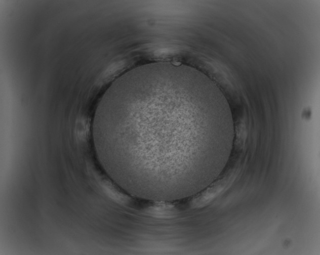 X0000101440278200807141314