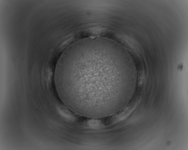 X0000101440279200807141314