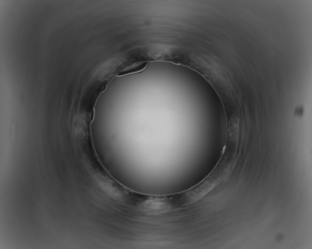 X0000101440280200807141314