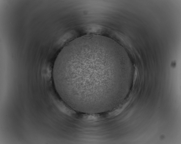 X0000101440282200807141314