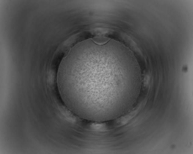 X0000101440283200807141314