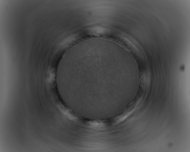 X0000101440284200807141314