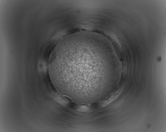 X0000101440285200807141314