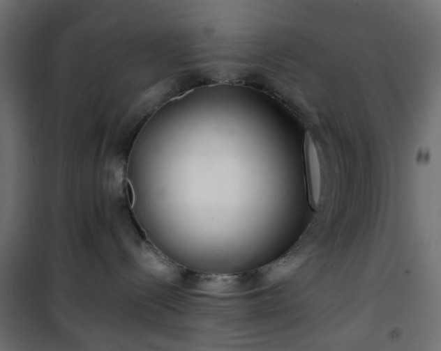 X0000101440288200807141314