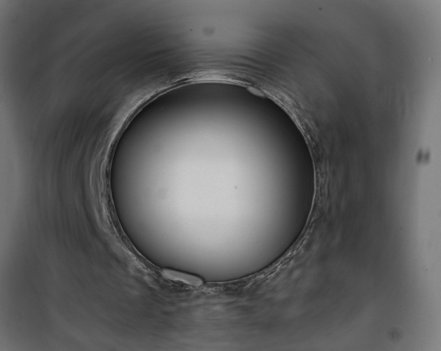 X0000101440289200807141313