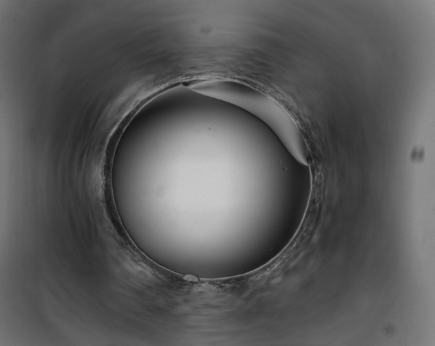 X0000101440290200807141313