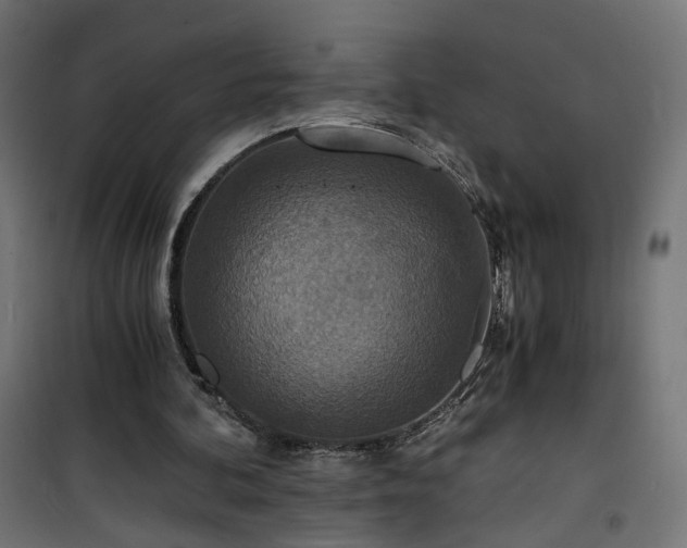 X0000101440292200807141313