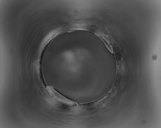 X0000101440293200807141313