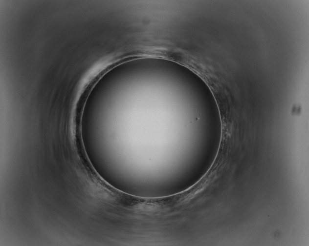 X0000101440294200807141313