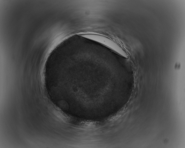 X0000101440295200807141313