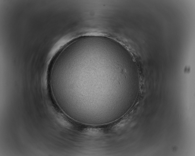 X0000101440296200807141313