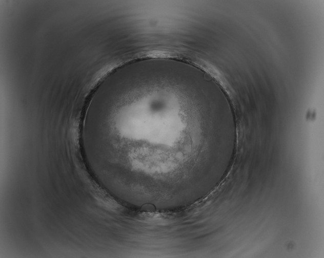 X0000101440297200807141313