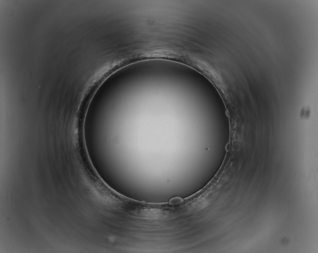 X0000101440298200807141313