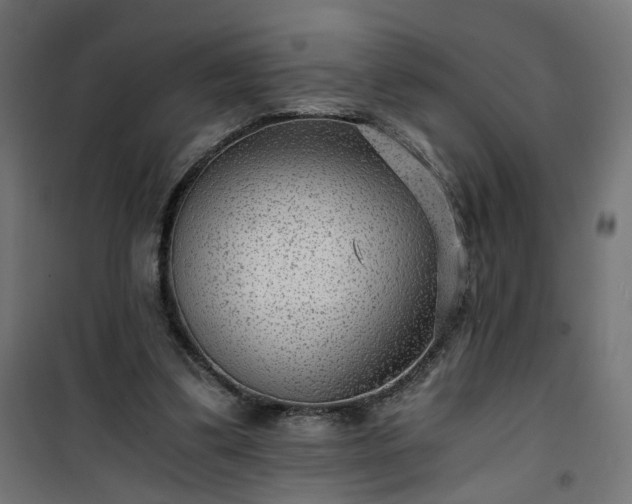 X0000101440299200807141313