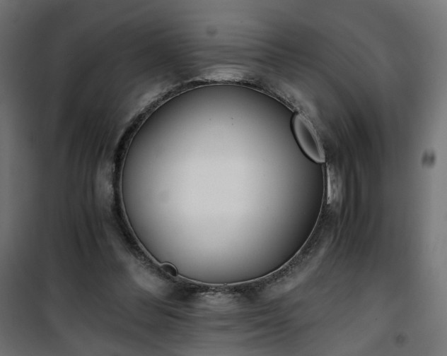 X0000101440300200807141313