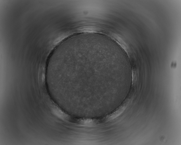 X0000101440301200807141313