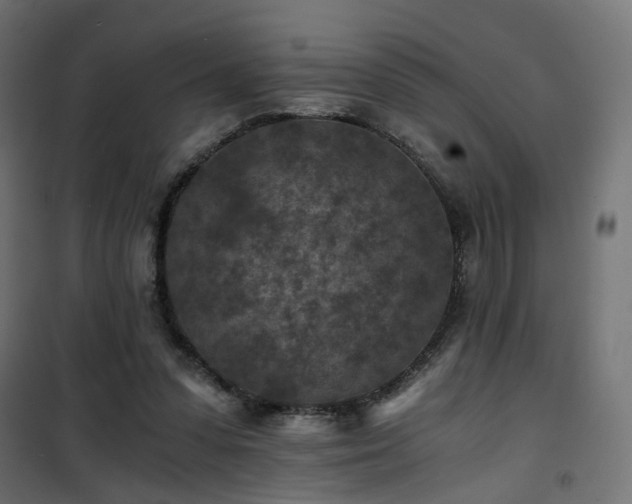 X0000101440303200807141313