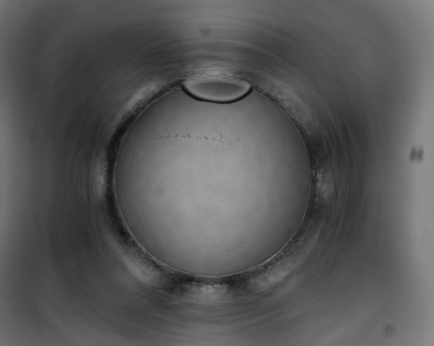 X0000101440304200807141313