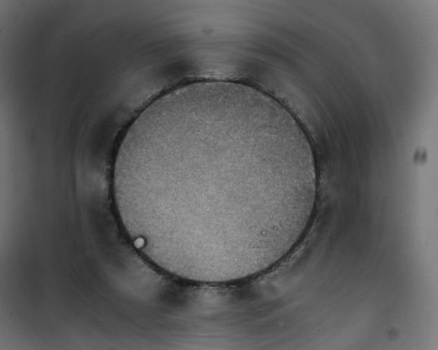 X0000101440305200807141313