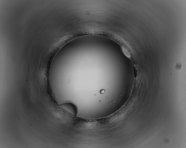 X0000101440306200807141313