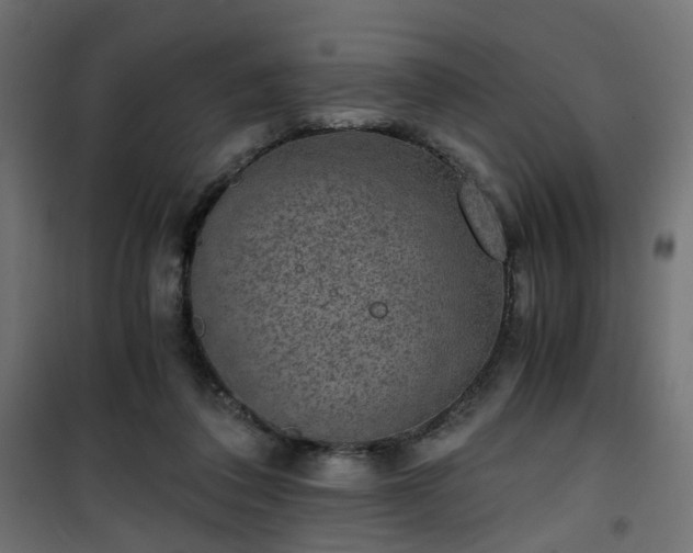 X0000101440308200807141313