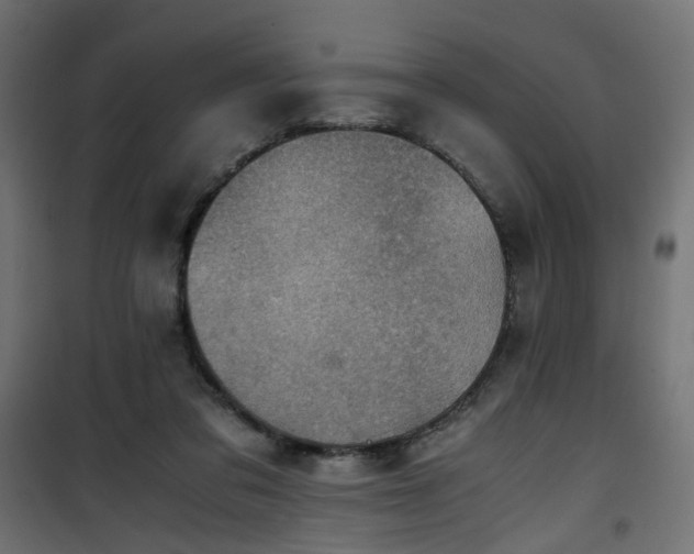 X0000101440309200807141313