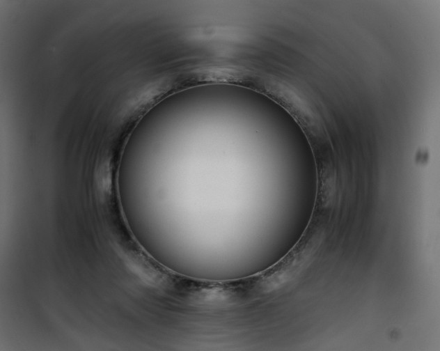 X0000101440310200807141313