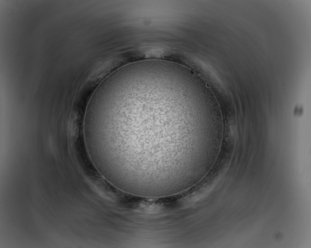 X0000101440311200807141313