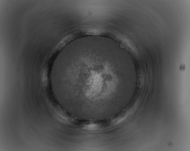 X0000101440312200807141313