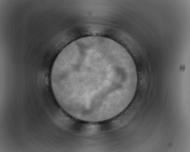 X0000101440313200807141313