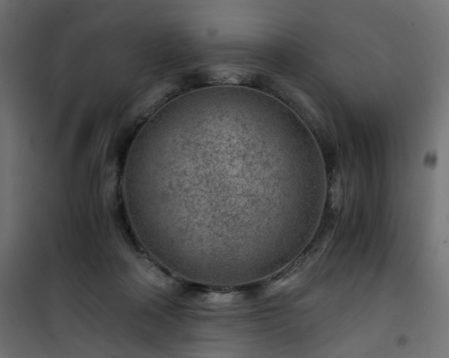 X0000101440314200807141313