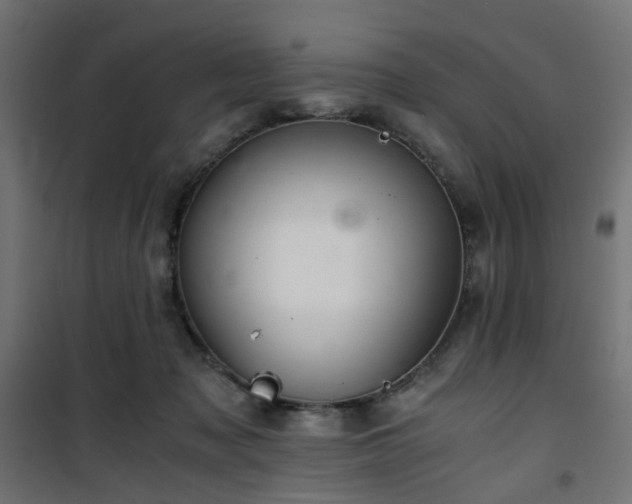 X0000101440317200807141313