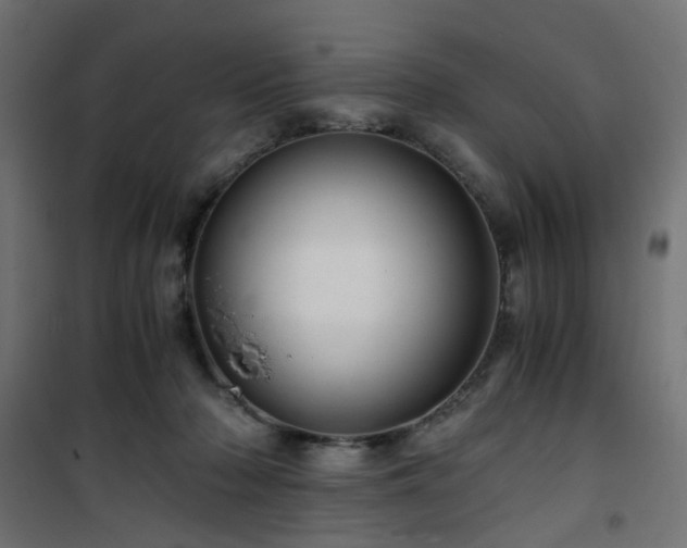 X0000101440318200807141313