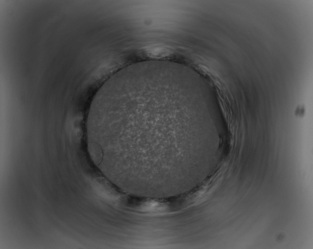 X0000101440319200807141313