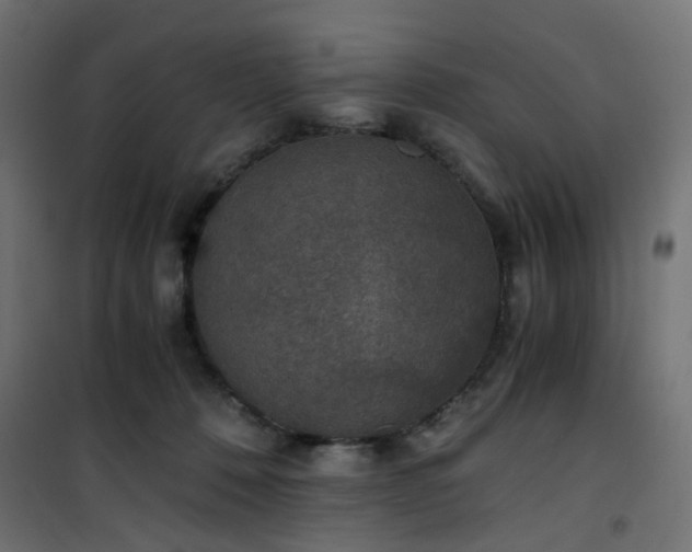 X0000101440320200807141313