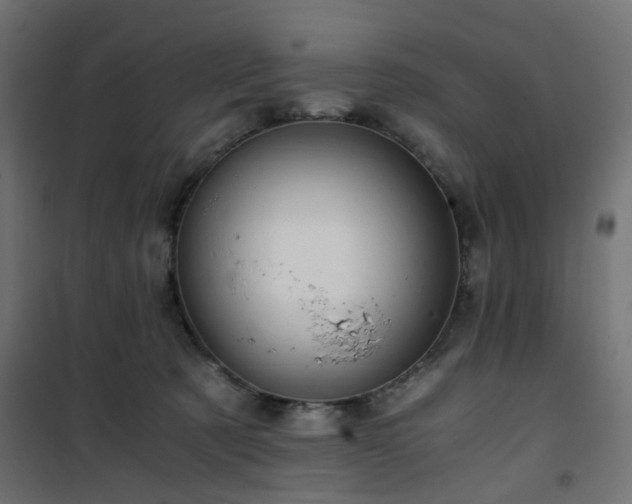 X0000101440321200807141312