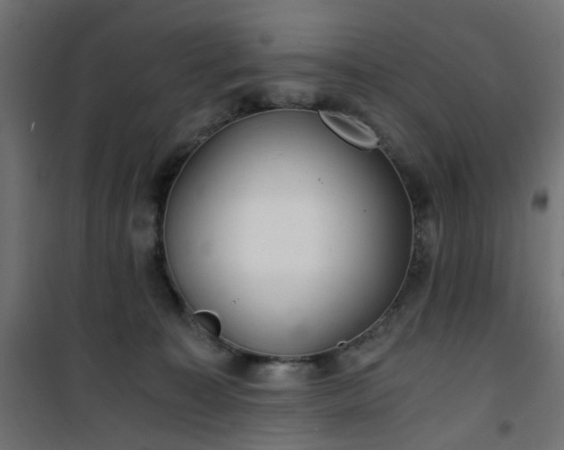 X0000101440323200807141312