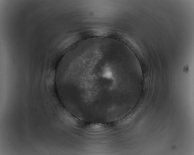 X0000101440325200807141312