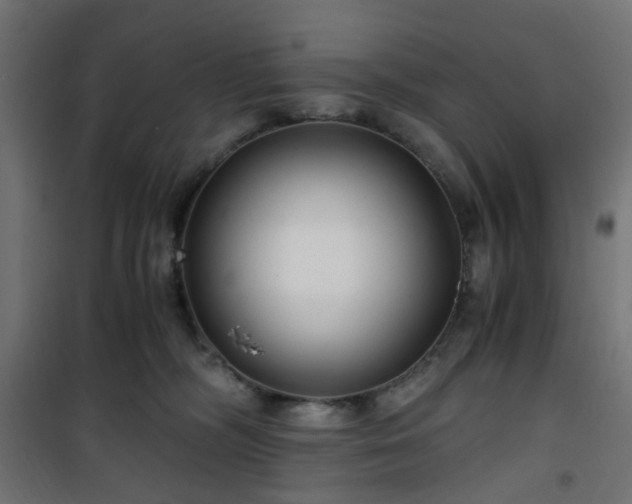 X0000101440326200807141312