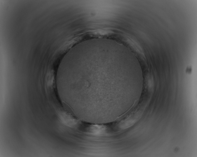 X0000101440328200807141312