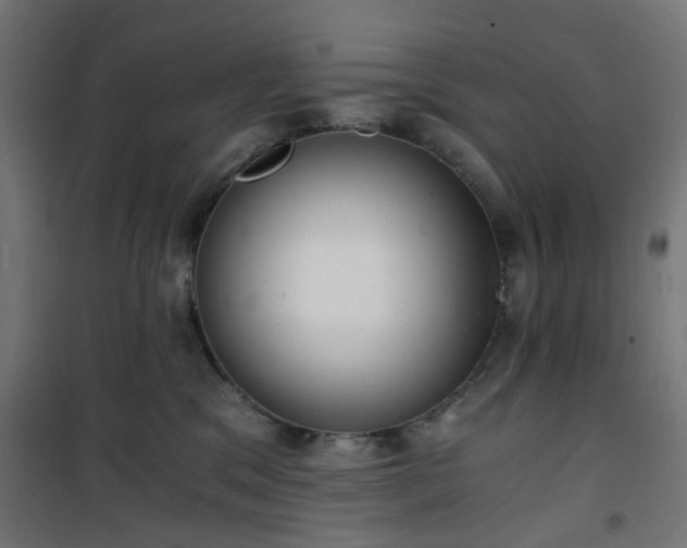 X0000101440329200807141312