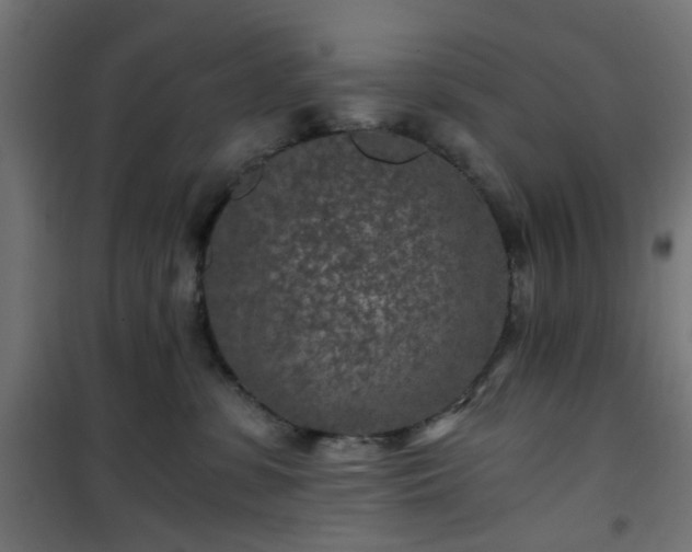 X0000101440331200807141312