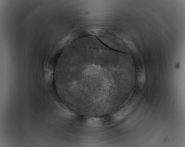 X0000101440332200807141312